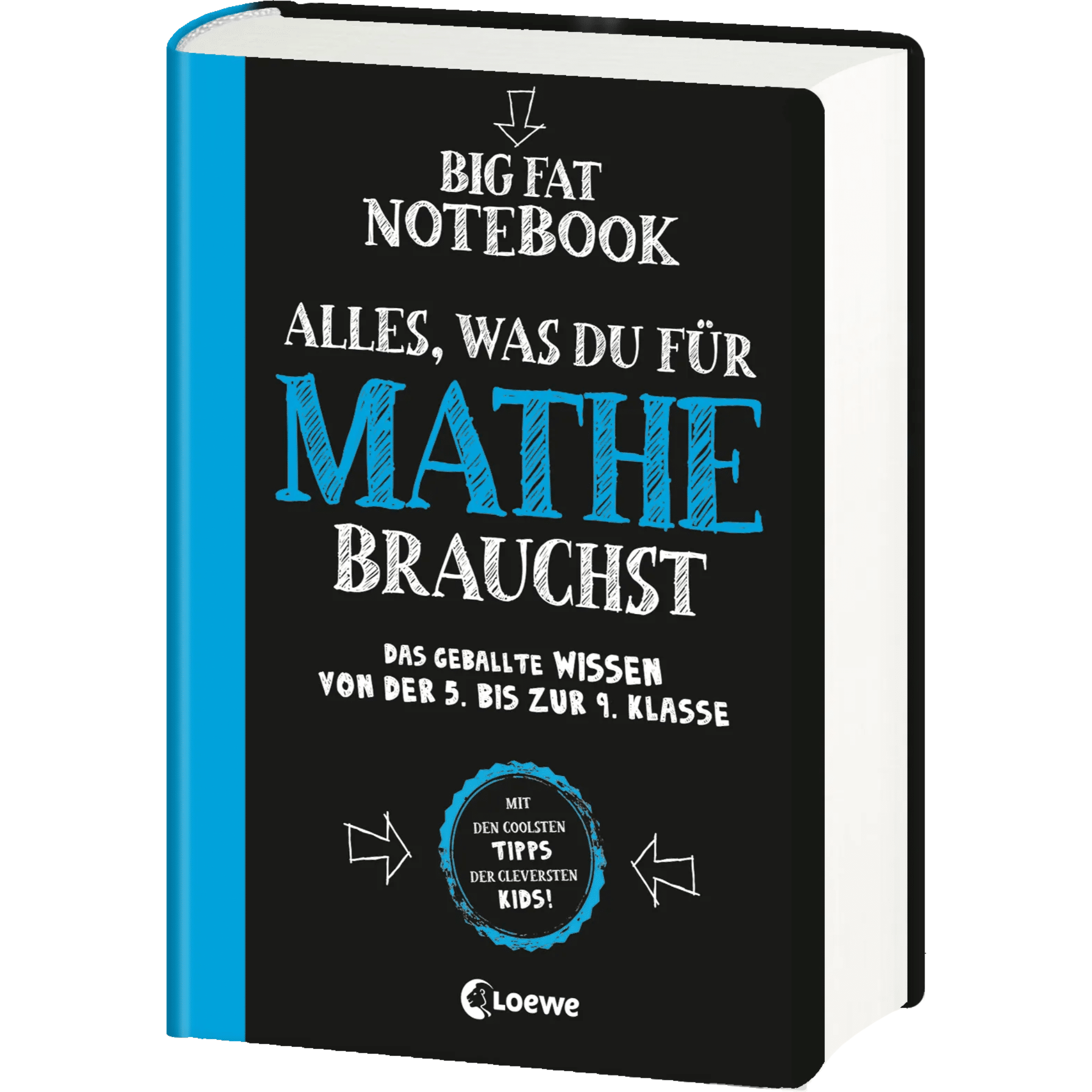 Big Fat Notebook - Alles, was du für Mathe brauchst
